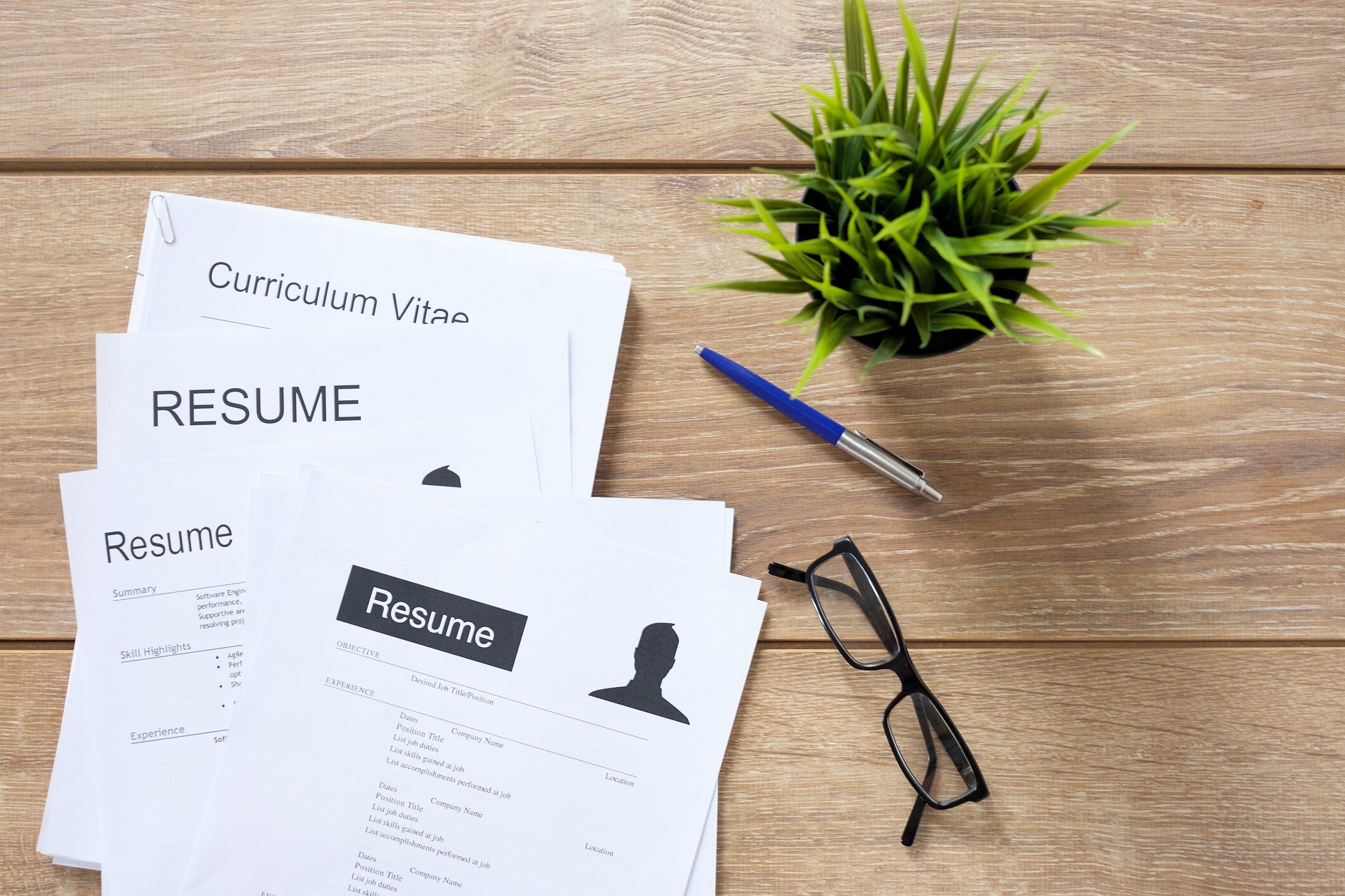 resume-writing-alison-bannister